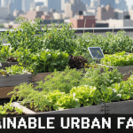 A vibrant rooftop garden showcasing sustainable urban farming with city skyscrapers in the background.